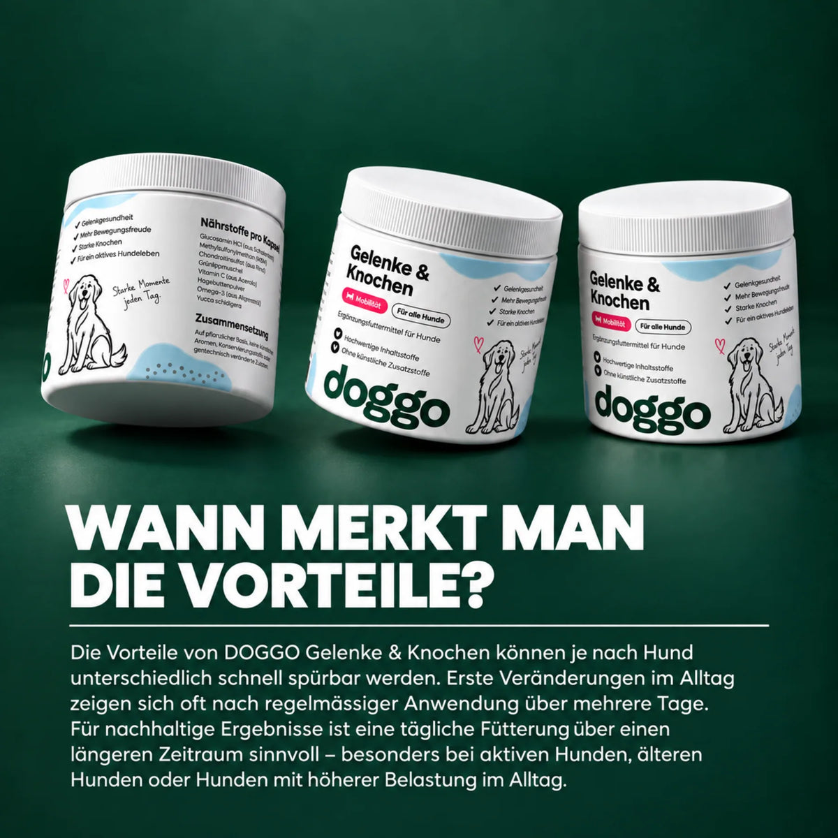 DOGGO Gelenke & Knochen Kautabletten für Hunde