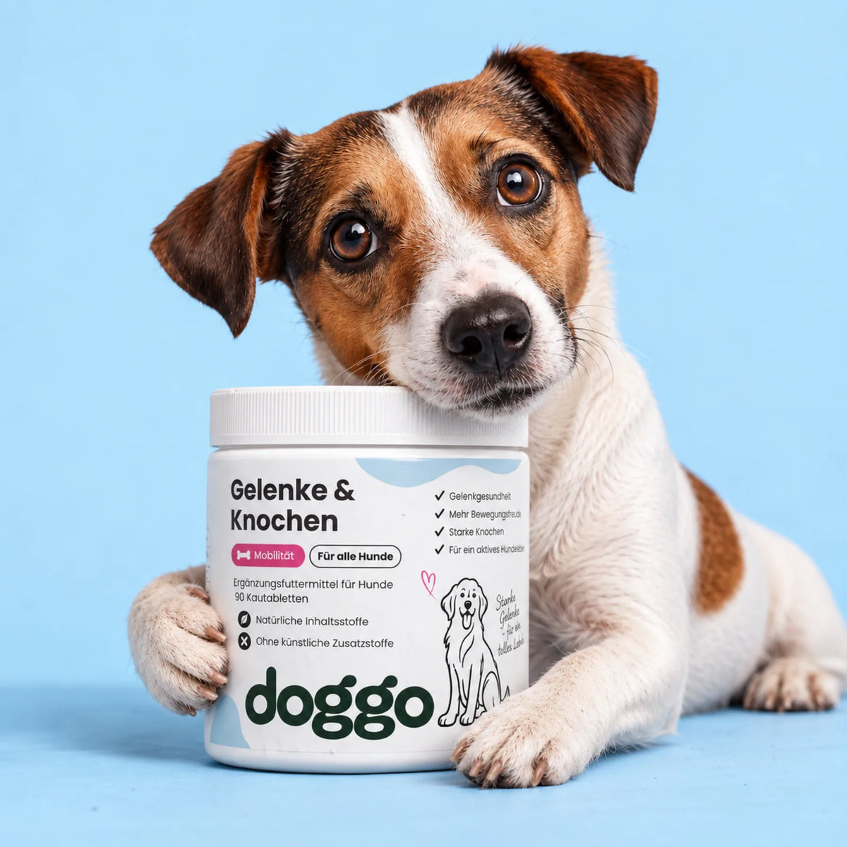 DOGGO Gelenke & Knochen Kautabletten für Hunde