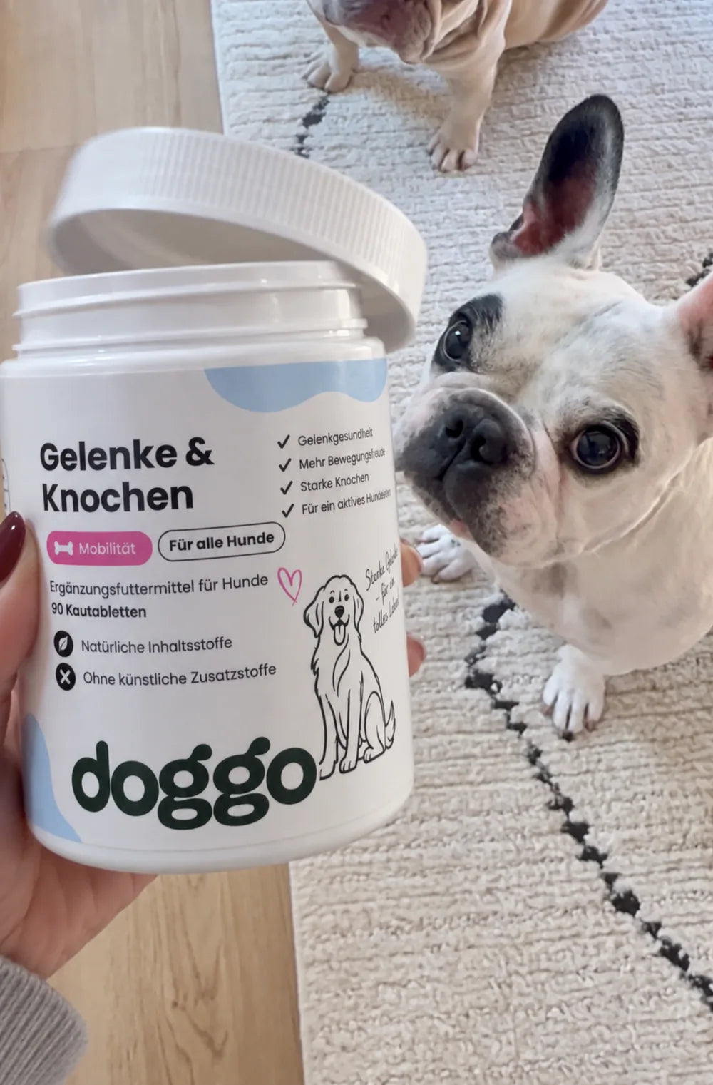 Hund aus der DOGGO Community