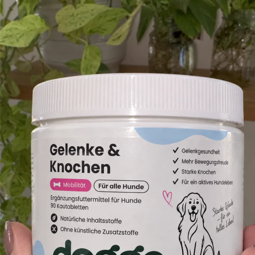 Kundenfoto