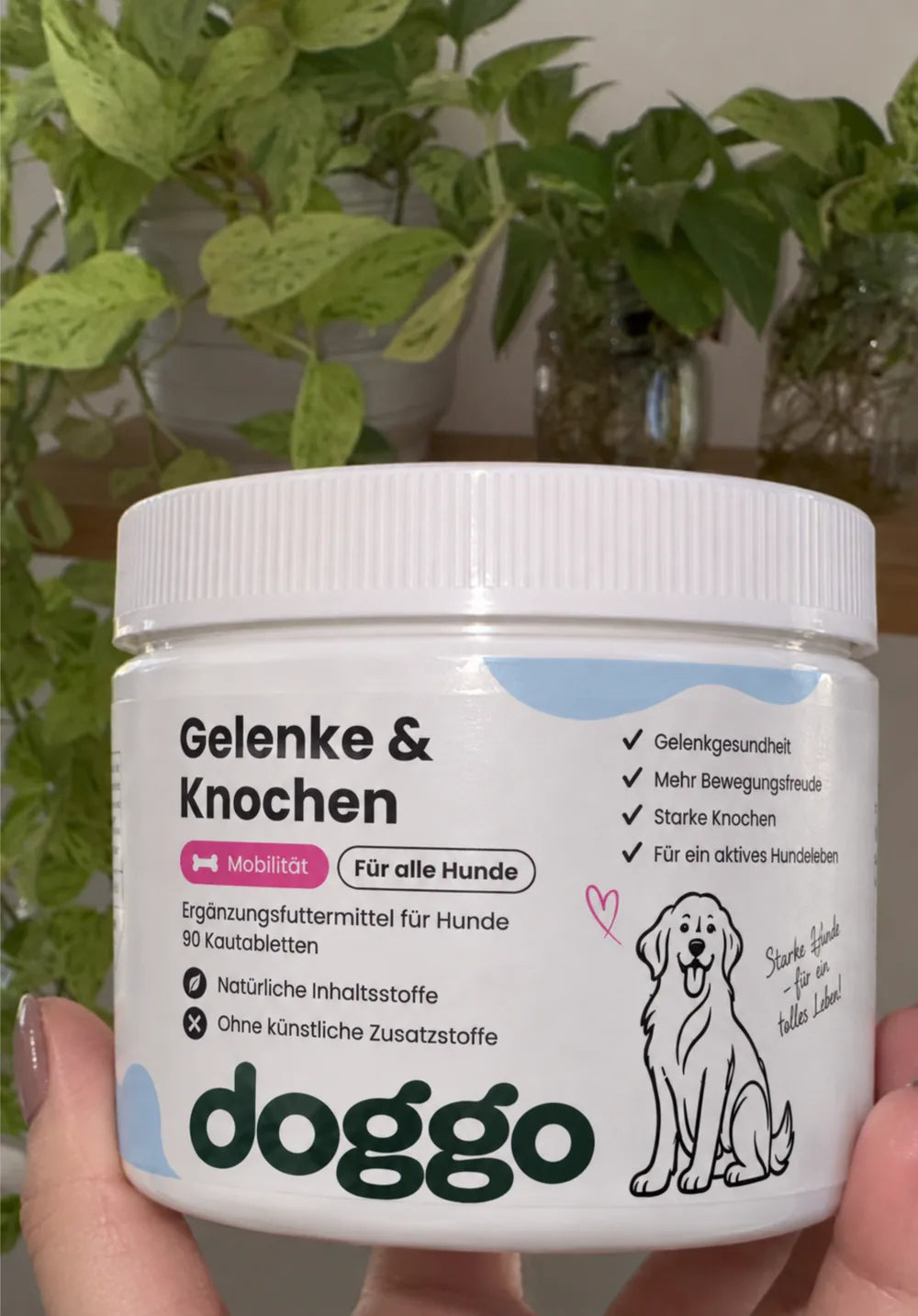 Hund aus der DOGGO Community