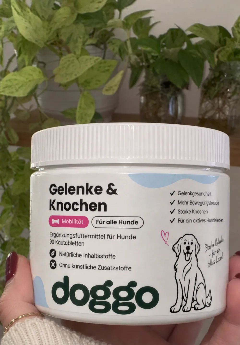 Hund aus der DOGGO Community