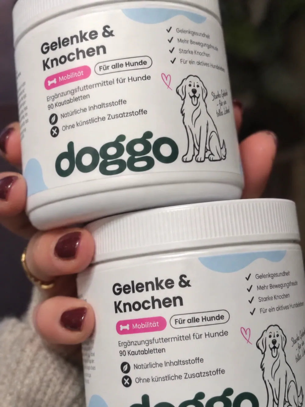 Hund aus der DOGGO Community