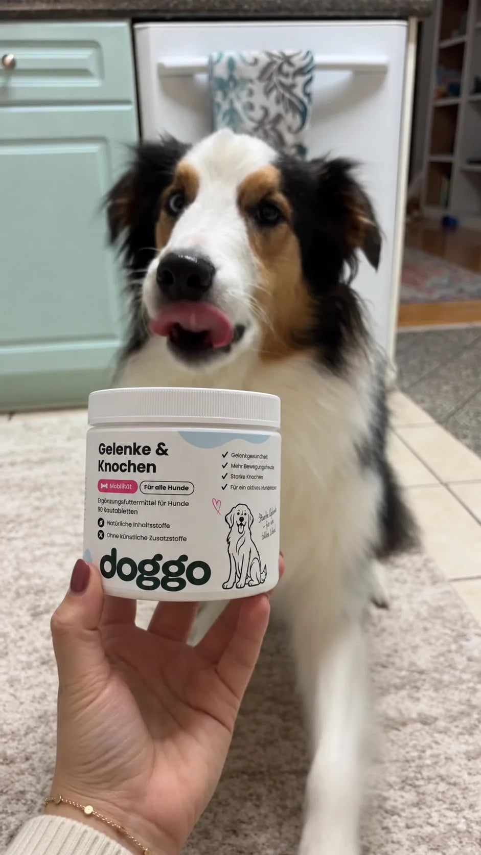 Hund aus der DOGGO Community