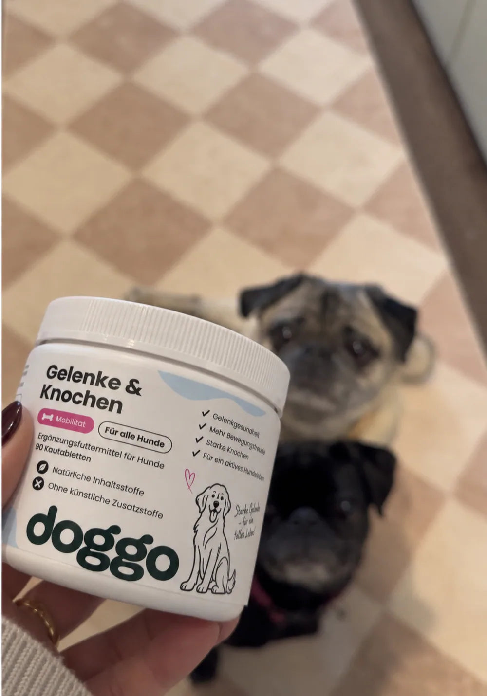 Hund aus der DOGGO Community