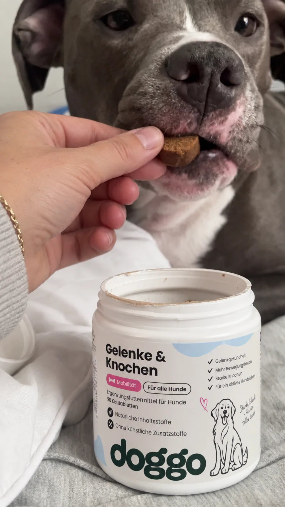 Hund aus der DOGGO Community