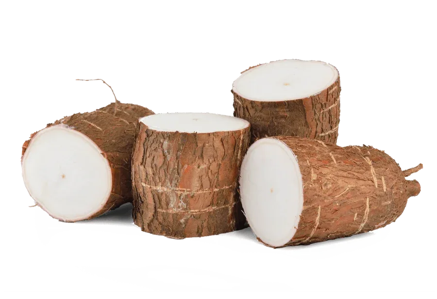 Yucca schidigera